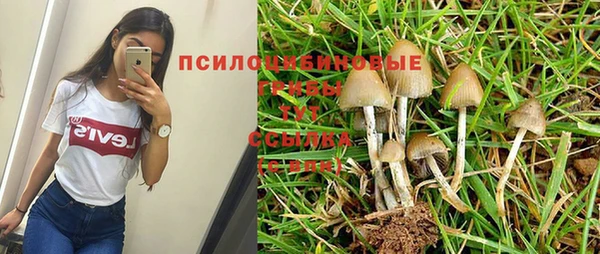 кокаин VHQ Белокуриха