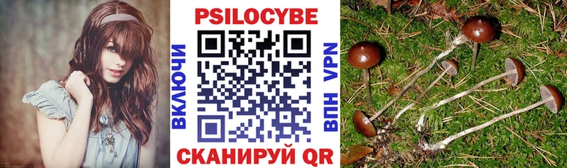 Псилоцибиновые грибы прущие грибы  закладка  Бутурлиновка 